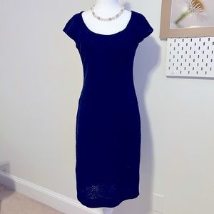 Ann Taylor Navy Lace Brocade Dress